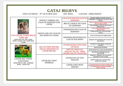 Another example of a personalised pedigree certificate